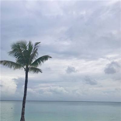 青云浮仙记手游
