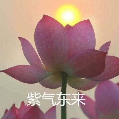 永恒战场无限金币版下载
